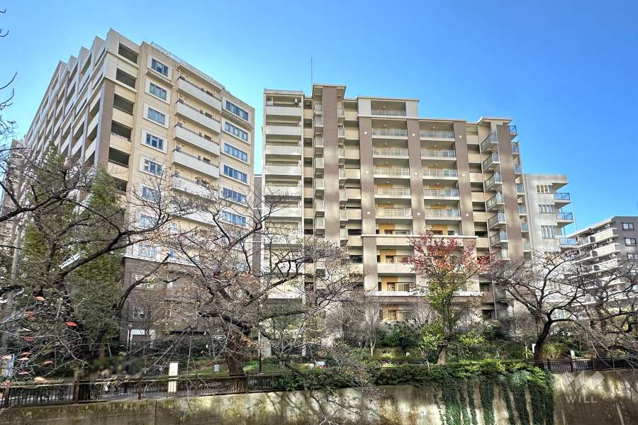 グランアルト加賀の外観(北東側から)