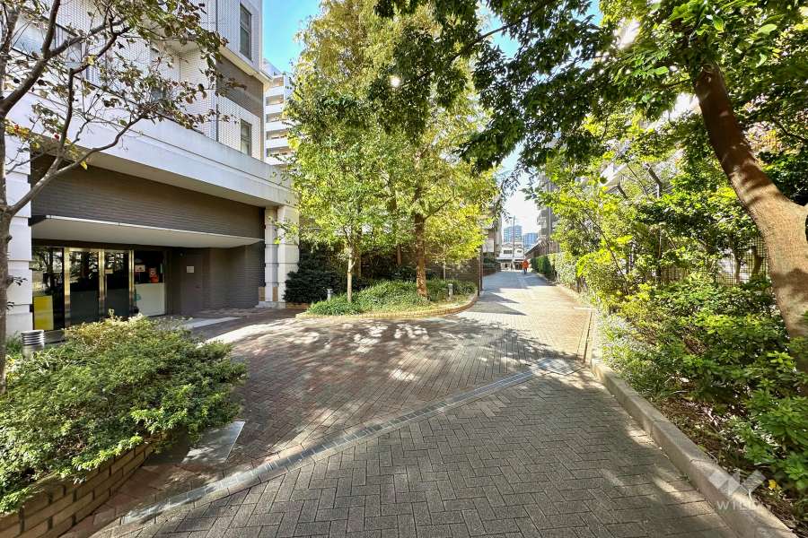 敷地北西側の前面道路