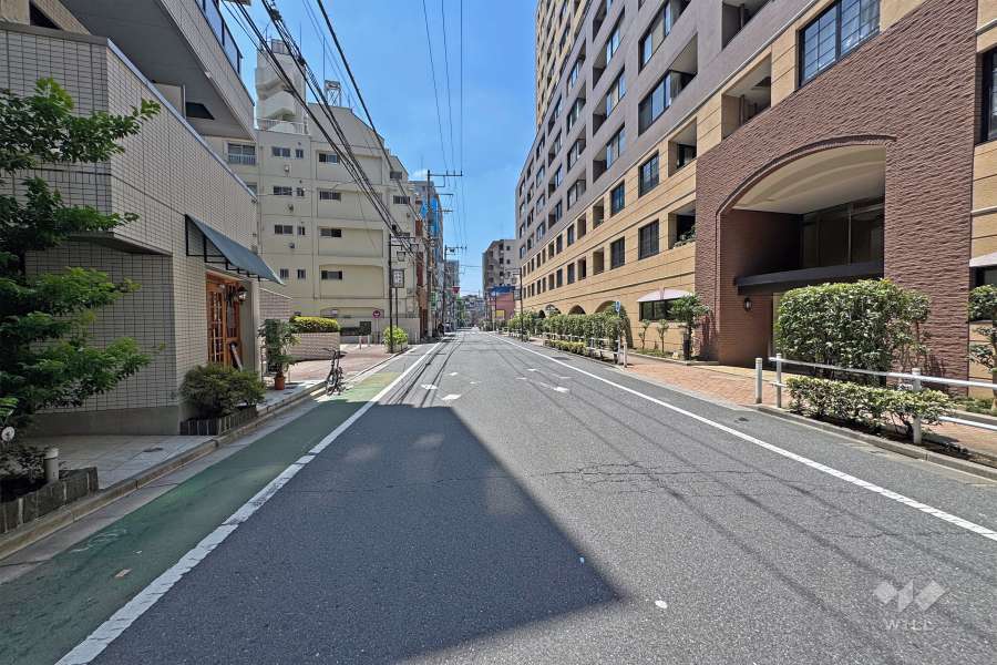敷地の東側前面道路（北側から）