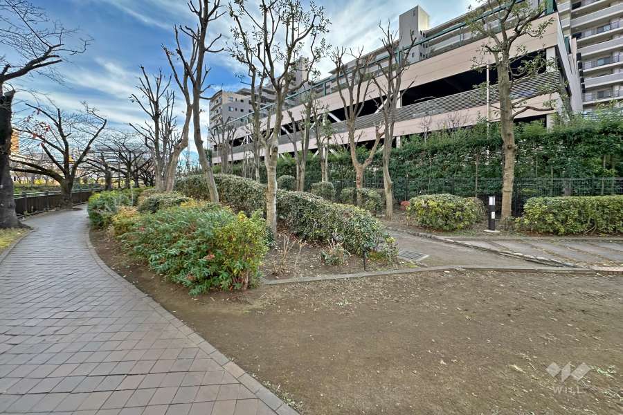 敷地の北東側の通路は石神井川に面しています（北西側から）。