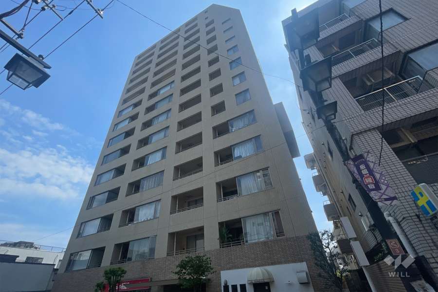 コスモ板橋グレイスアベニューの外観（南西側から）　　