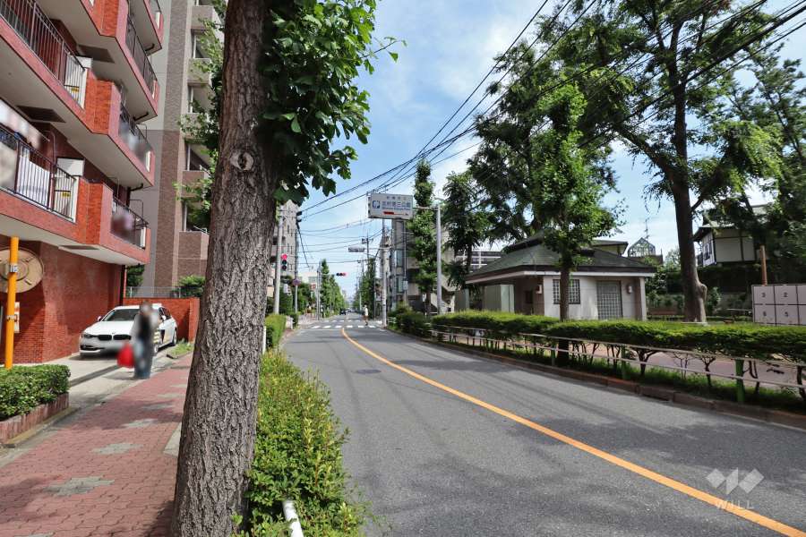 敷地南西側の前面道路（北西側から）