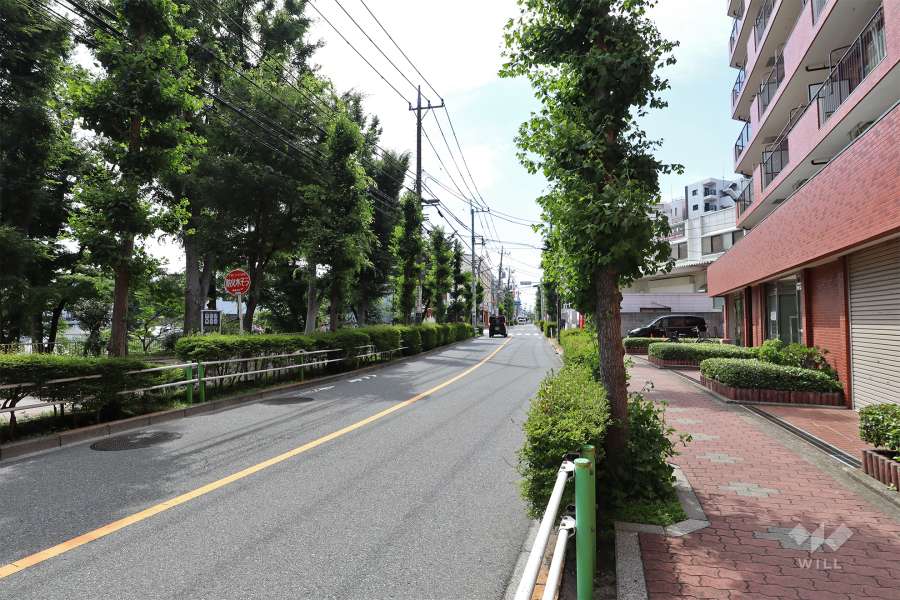 敷地南西側の前面道路（南東側から）