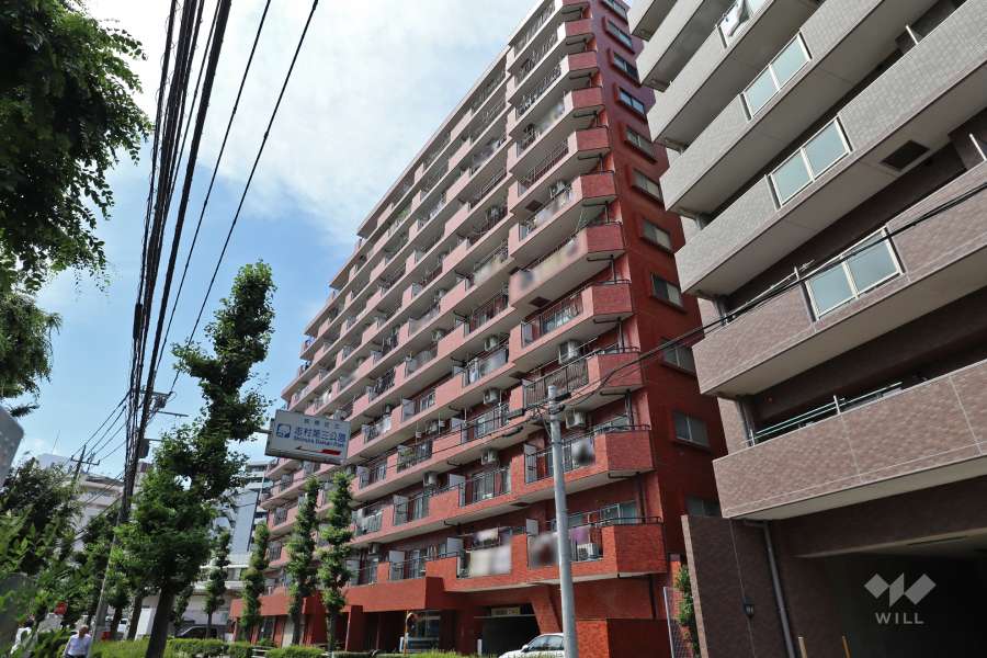 シャンボール志村坂上の外観（南側から）