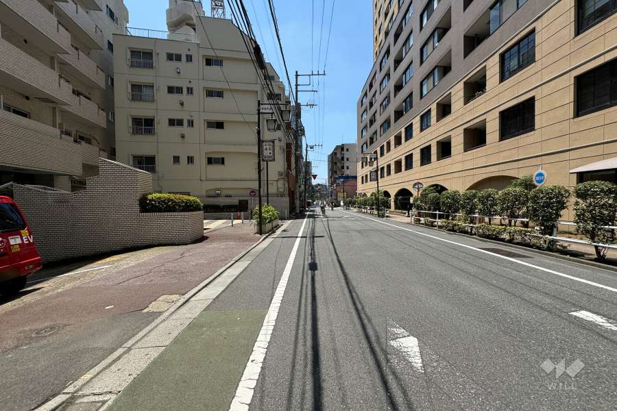 敷地西側の前面道路（北側から）