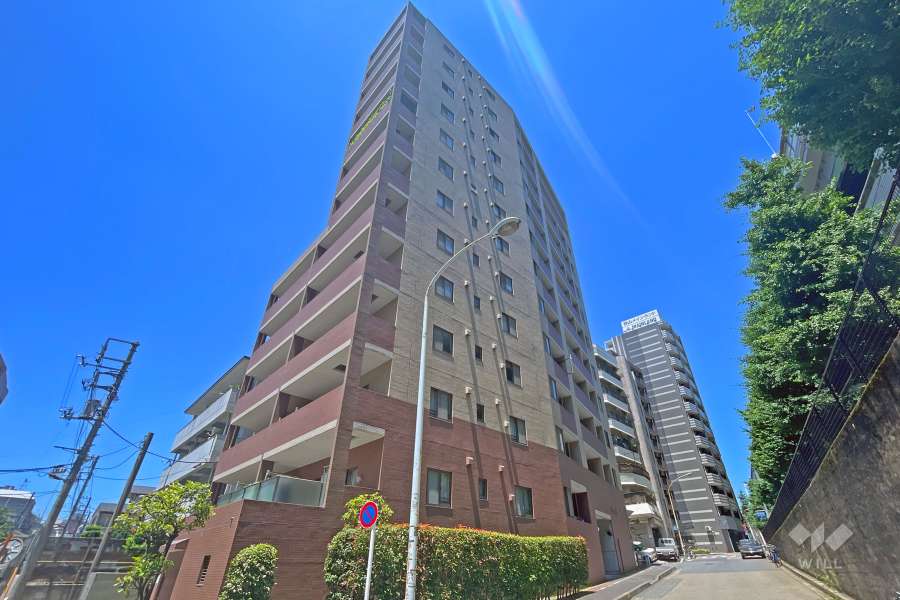 ルピナス大山グランドタワーＩステージの外観（南東側から）