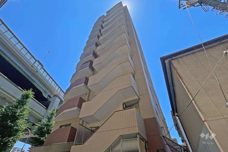 ルピナス大山グランドタワーＩステージの外観（北西側から）