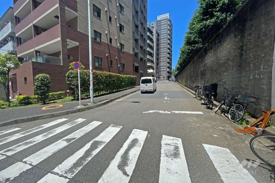 敷地の東側前面道路（南側から）