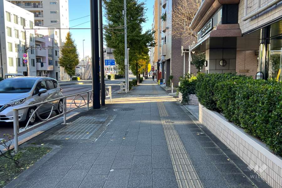 敷地の北東側前面道路（北西側から）