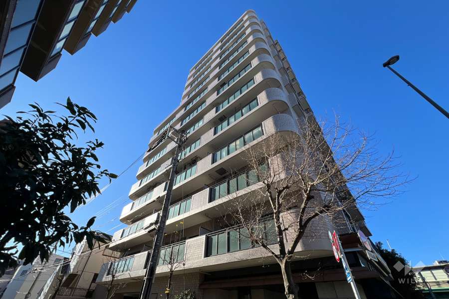 ライオンズプラザときわ台の外観（東側から）