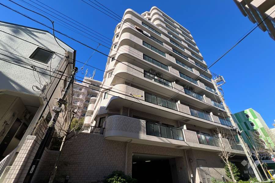 ライオンズプラザときわ台の外観（南側から）