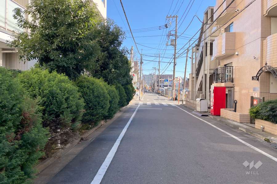 敷地南側の前面道路（西側から）