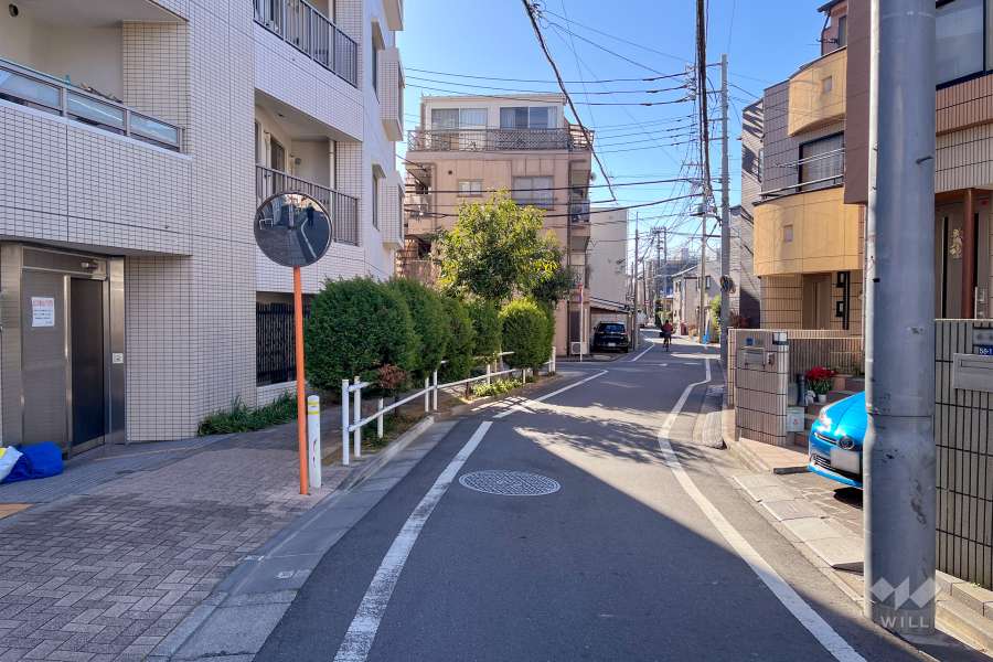 敷地西側の前面道路（北側から）