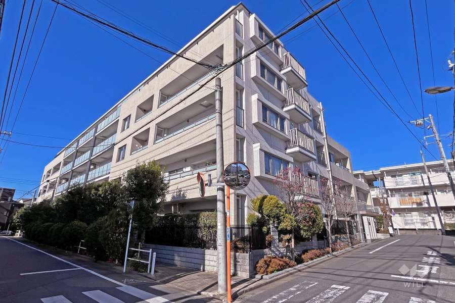 レクセル千川の外観（南東側から）