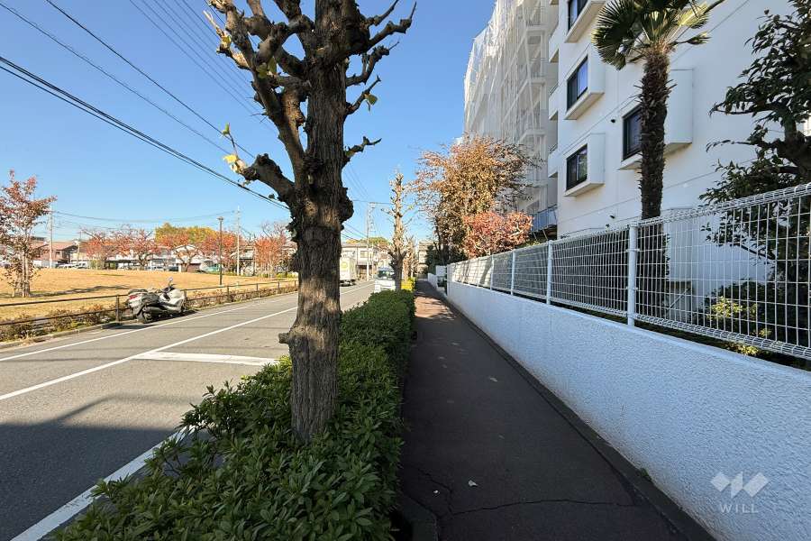 敷地西側の前面道路（南側から）