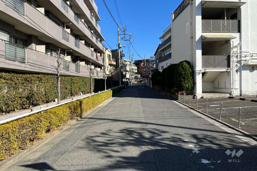 敷地の南東側前面道路（南西側から）