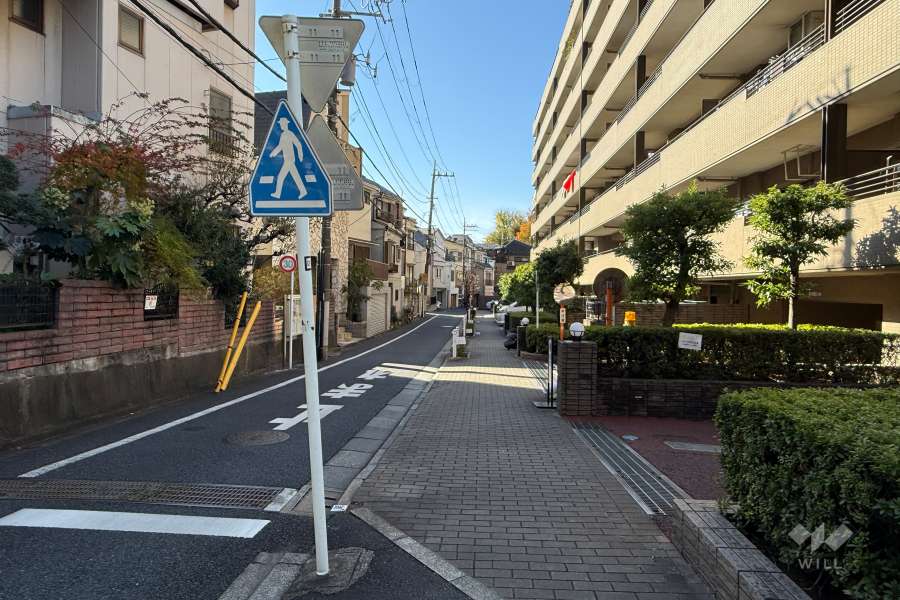 敷地の東側前面道路（北側から）