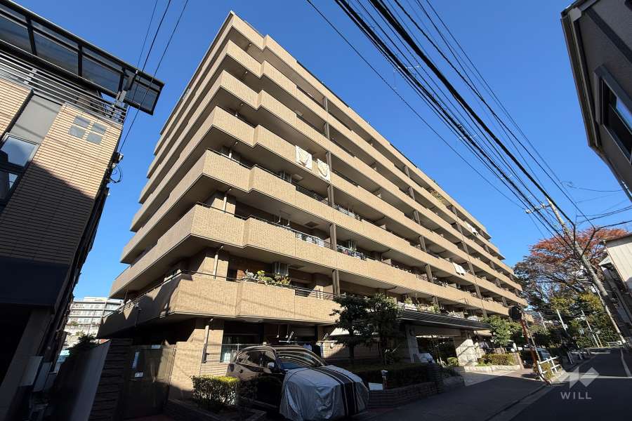 コスモ板橋志村プリオールの外観（南東側から）