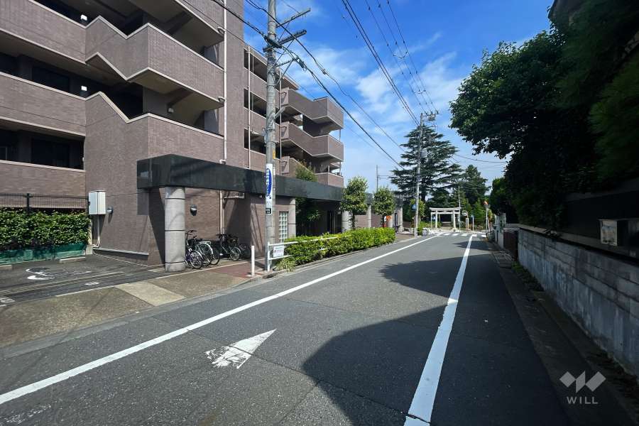 敷地北東側の前面道路（南東側から）