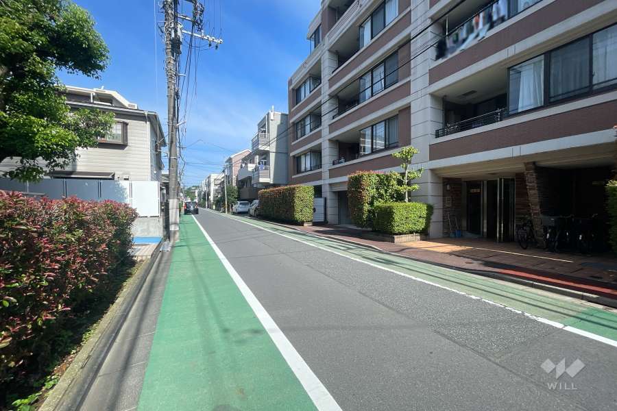 敷地の南側前面道路（東側から）