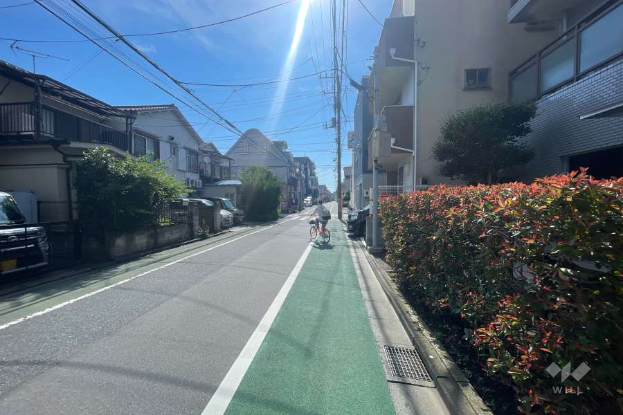 敷地南側の前面道路（西側から）