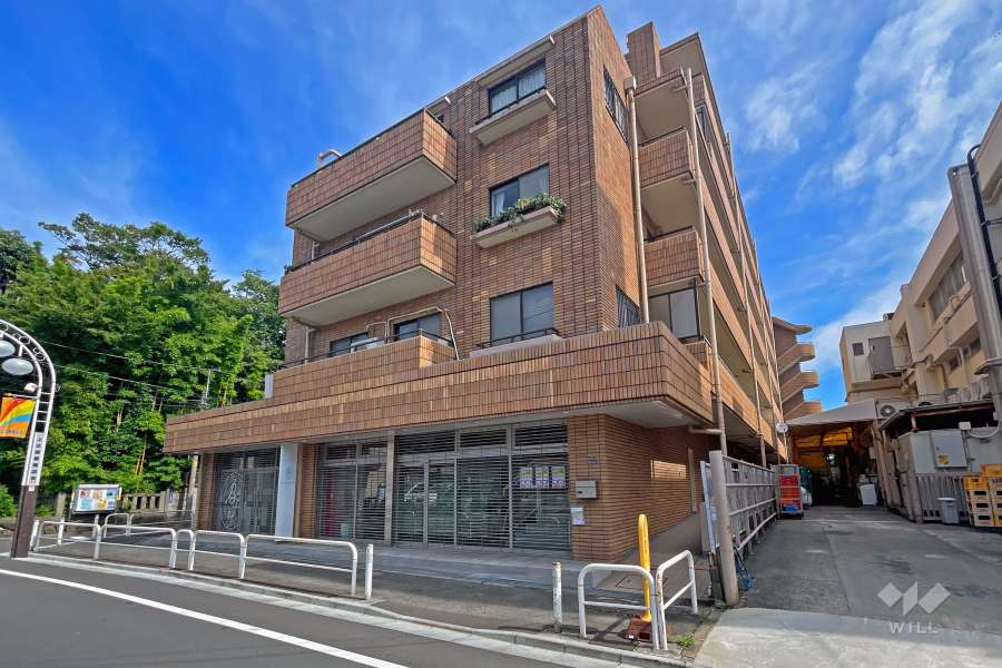 スターロワイヤル常盤台壱番館の外観（南東側から）