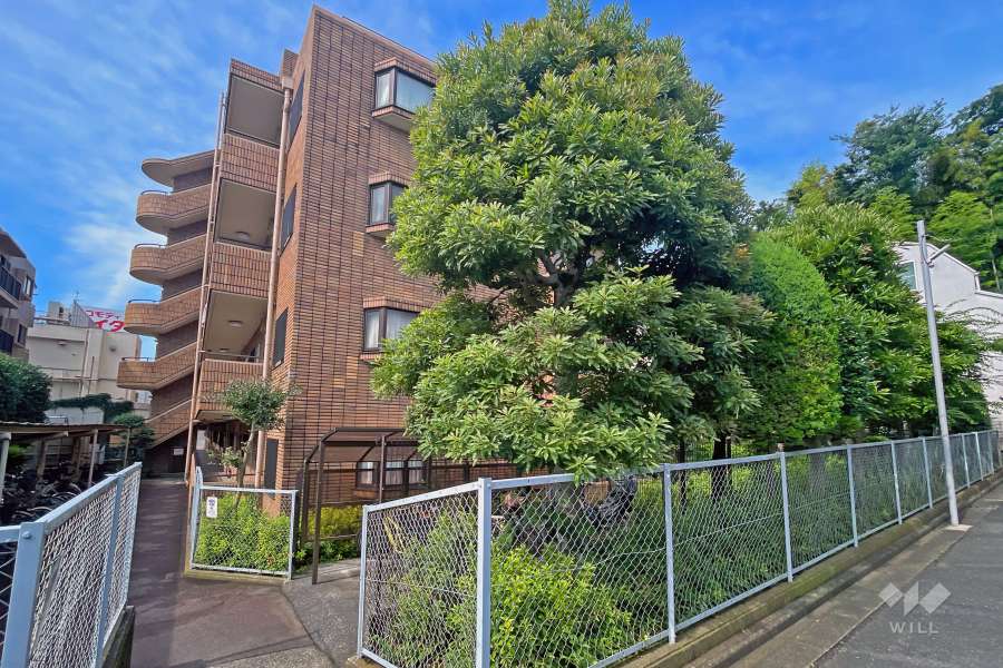 スターロワイヤル常盤台壱番館の外観（北東側から）