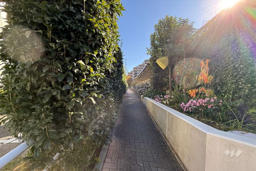 敷地北側の前面道路（西側から）