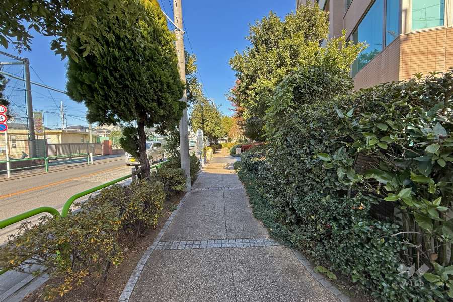 敷地西側の前面道路（南側から）