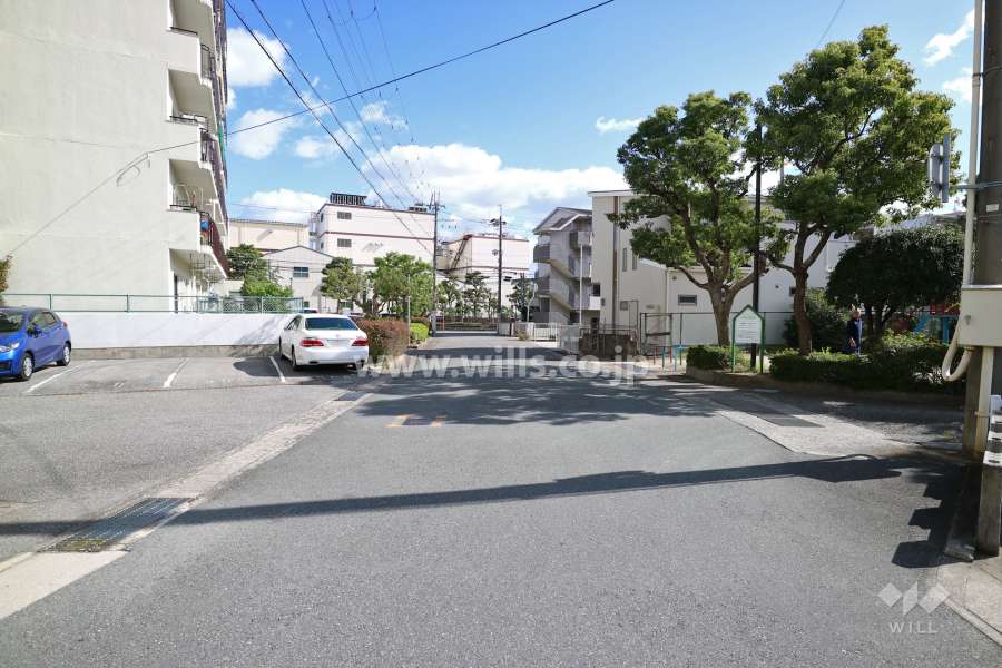 敷地北側の前面道路。田畑がありとても静かな住環境です。