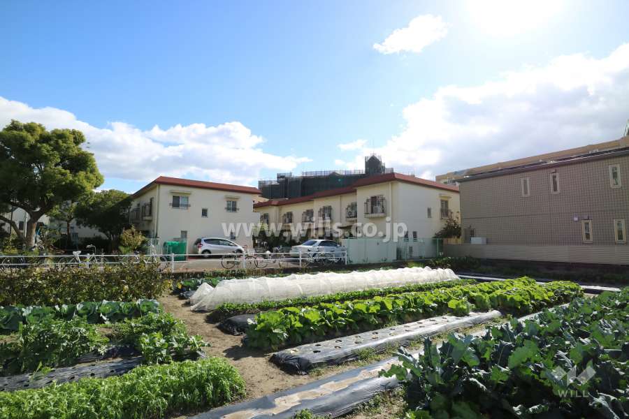 伊丹ニューダイヤホームの外観（西側から）