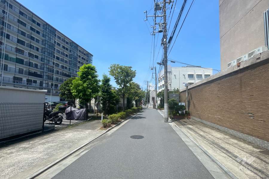 敷地の西側前面道路（北側から）