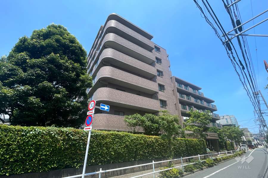 ライオンズガーデンときわ台の外観（南東側から）