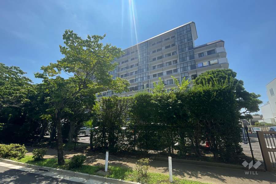 ライオンズガーデンときわ台の外観（南西側から）