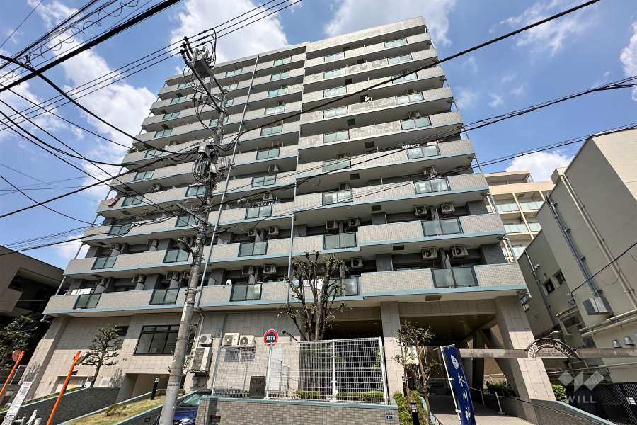 ライオンズステーションプラザ大山の外観（南東側から）