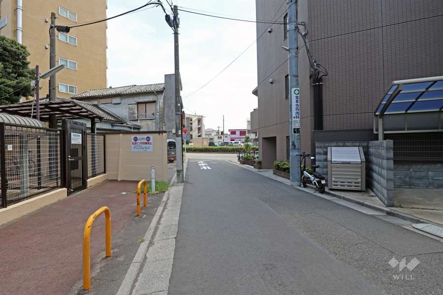 敷地の西側前面道路（北側から）