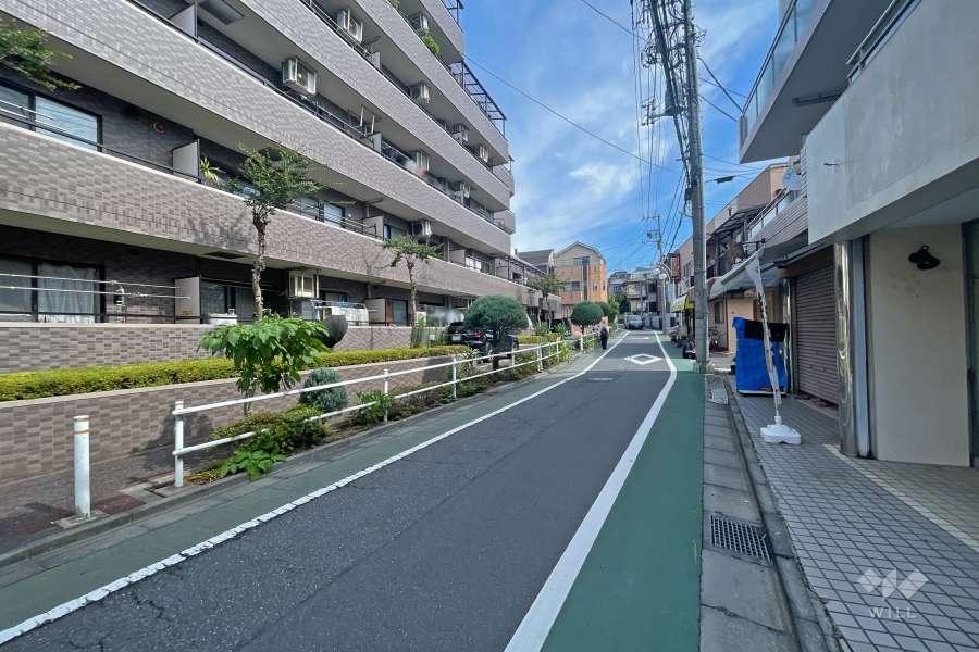 敷地東側の前面道路（南側から）
