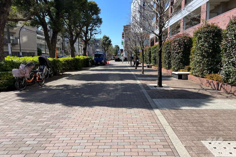 敷地の南側前面道路（東側から）