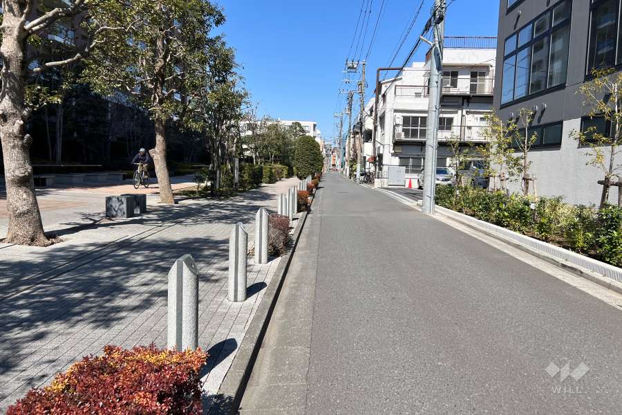 敷地の東側前面道路（南側から）
