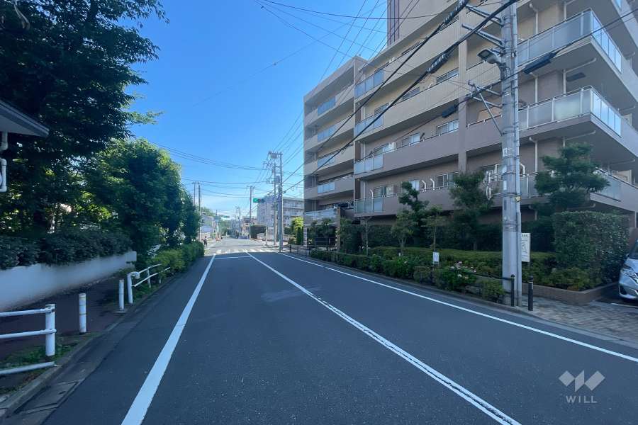 敷地西側の前面道路