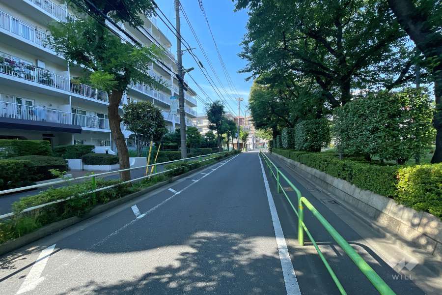 敷地の東側前面道路（南側から）