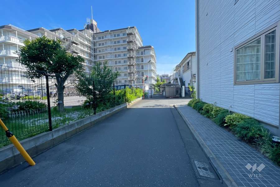 敷地の西側前面道路（北側から）