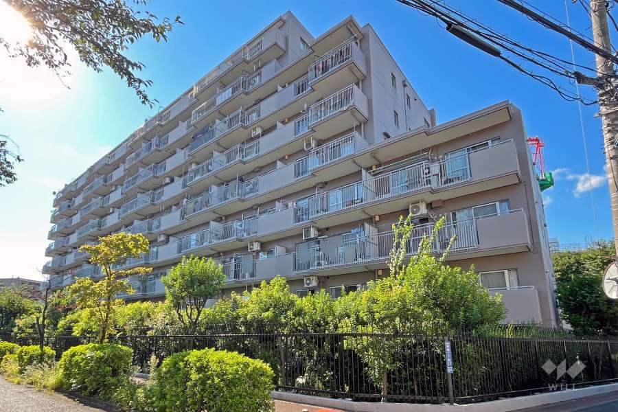 東急ドエルアルス成増の外観（南東側から）