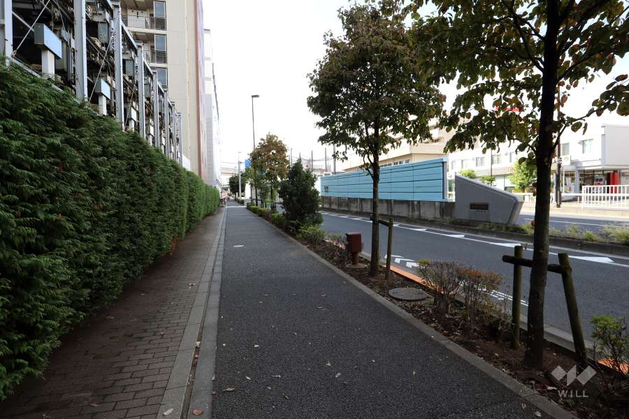 敷地の北側前面道路（東側から）