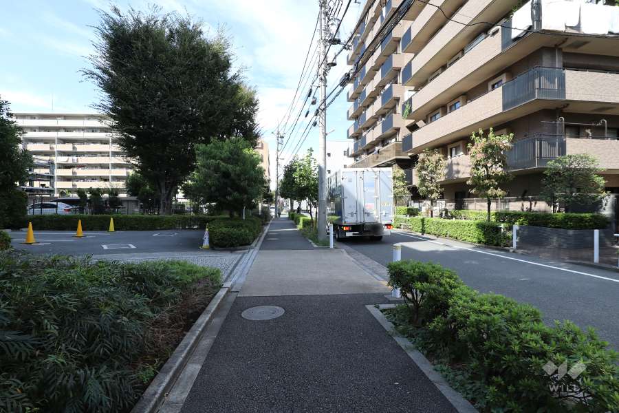 敷地の東側前面道路（南側から）