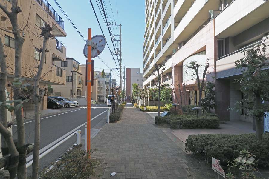 敷地南側の前面道路（東側から）