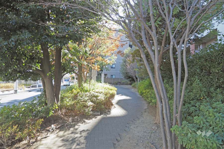 敷地東側の前面道路（北側から）