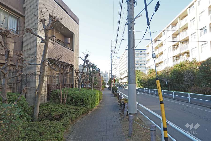 敷地北側の前面道路（西側から）