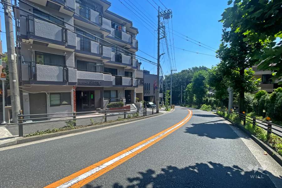 敷地の南側前面道路（西側から）