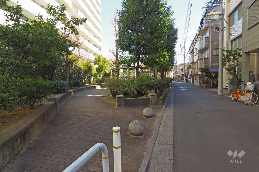 敷地南側の前面道路